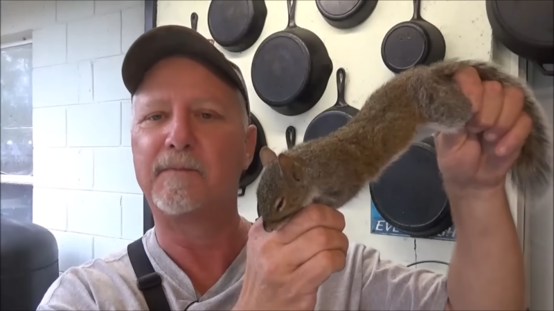 BEST WAY TO CLEAN AND COOK SQUIRREL