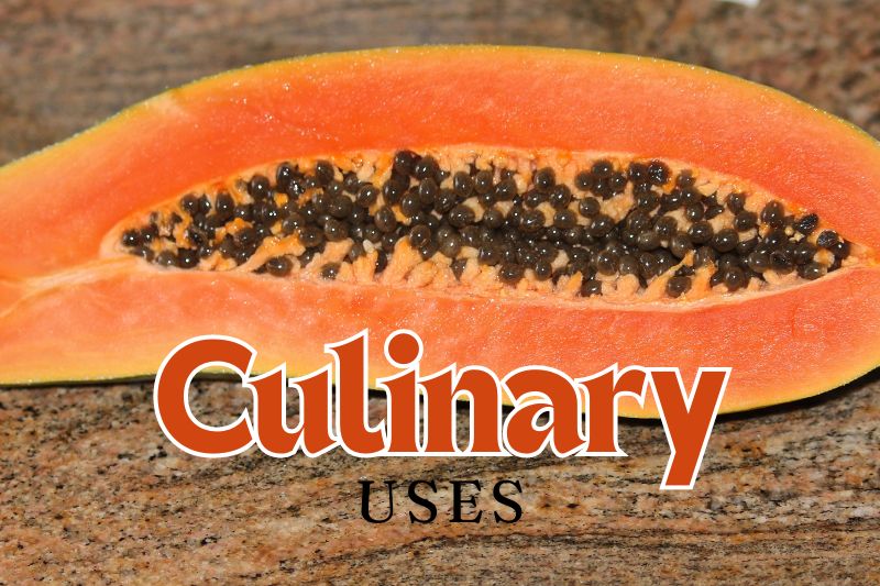 Culinary Uses Of PawPaw