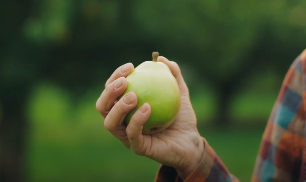 Which pear is better for baking